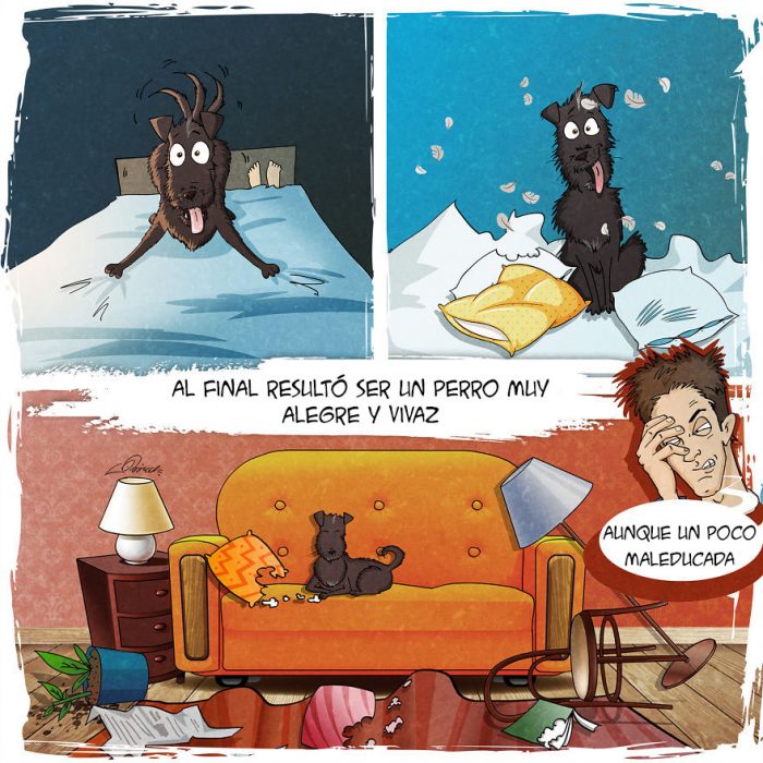 Este tierno comic refleja todo lo que vives cuando adoptas a un perro 