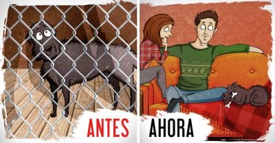 Estas ilustraciones describen perfectamente la experiencia de adoptar a un perro en un refugio
