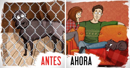 Ilustrador dibuja los hechos reales de su experiencia adoptando a un perro en un refugio animal y es lo mas enternecedor que verás hoy