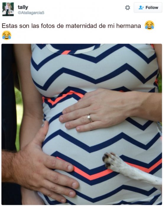 captura de pantalla de twitter vientre de embarazada y pata de perro 