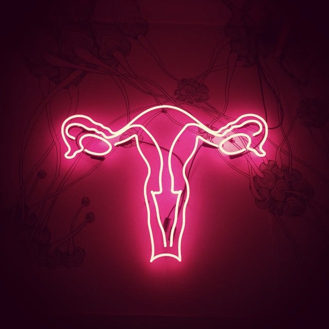 aparato reproductor femenino de luz led rosa 