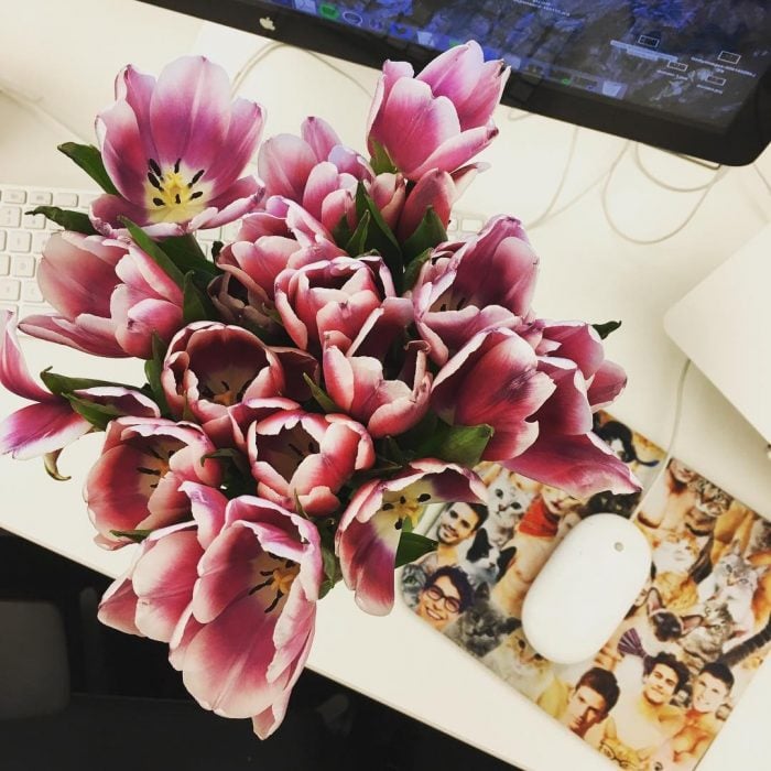 Fotografía de una flores e una oficina. 