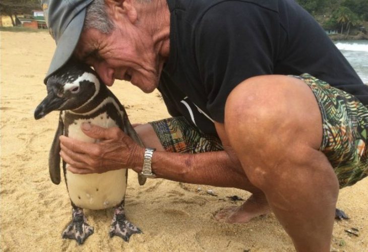 hombre sentado con pequeño pingüino