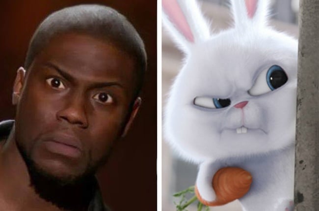 Kevin Hart y Snowball