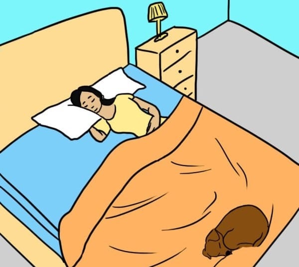 ilustración perro dormido a los pies de chica