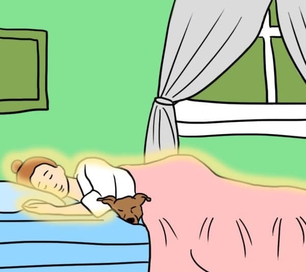 ilustración perro dormido a un lado de chica