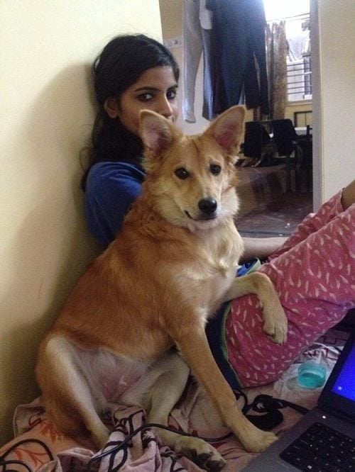 Joven hindú con su perro