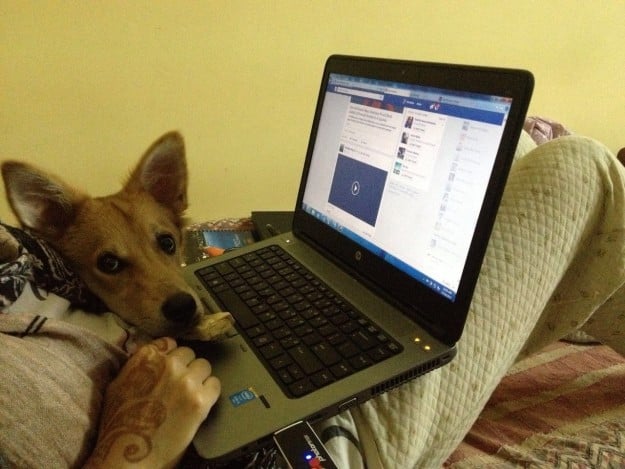 Joven hindú trabajando en computadora con su perro