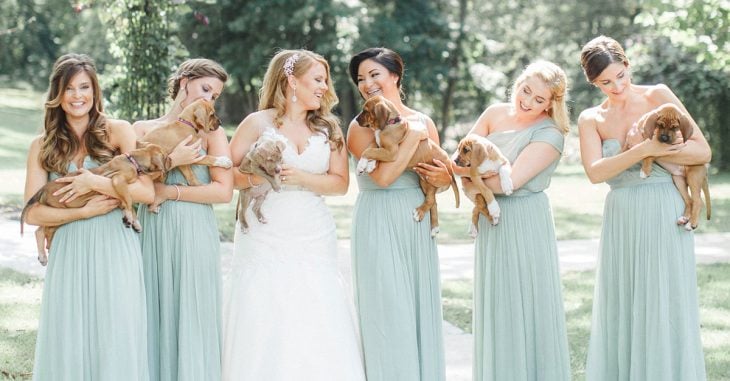 Estas chicas eligieron a unos cachorros en vez de las flores para la sesión de fotos de boda