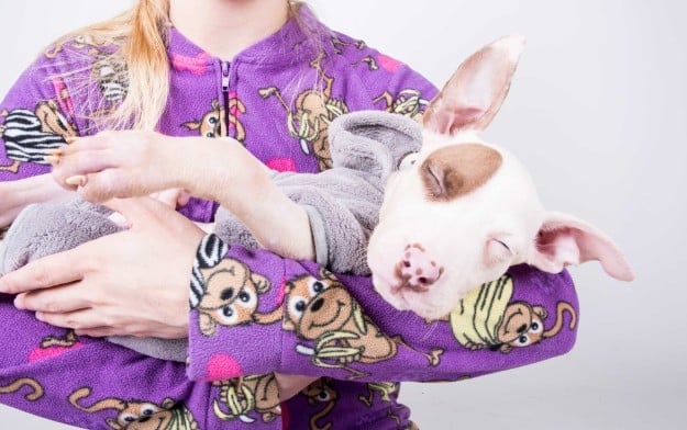 Chica sosteniendo a un perro dormido mientras ambos usan una pijama 