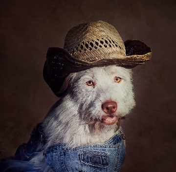 Perro vestido con un overoll y un sombrero de granjero 