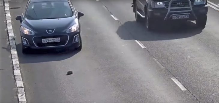 Coche detenido en plena carretera 