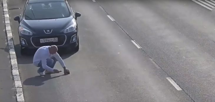 Hombre rescatando a un gatito en la carretera 