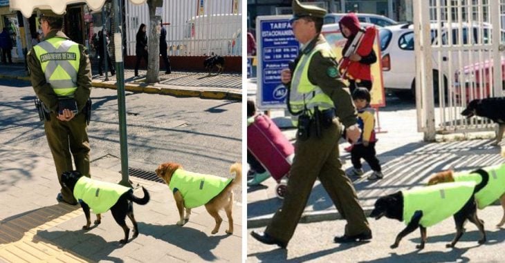 Policía adopta perritos callejeros para protegerlos e integrarlos al cuerpo de vigilancia