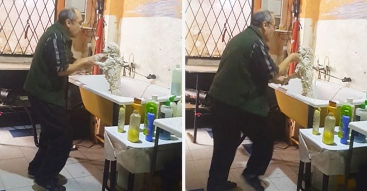 Este peluquero de perros fue captado dando un baño muy peculiar a su cliente