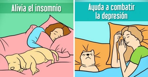 7 razones por las cuales deberías compartir tu cama con tu perro