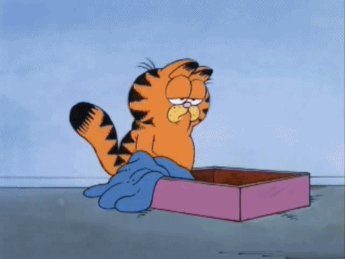Garfield muerto de sueño. 