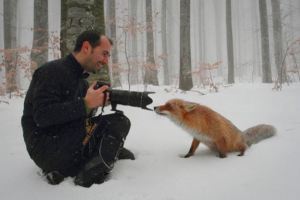 fotógrafo con lente frente a zorro