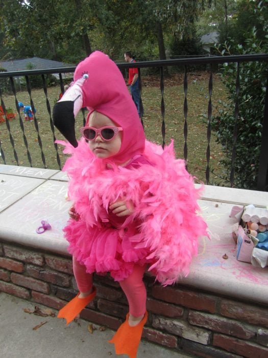 niña pequeña disfrazada de flamingo