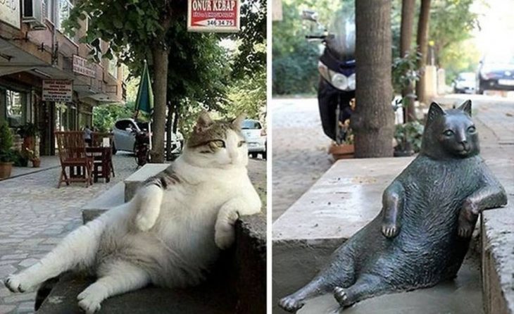 Gato relajado y su estatua 