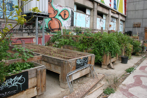 Huerto urbano en parís