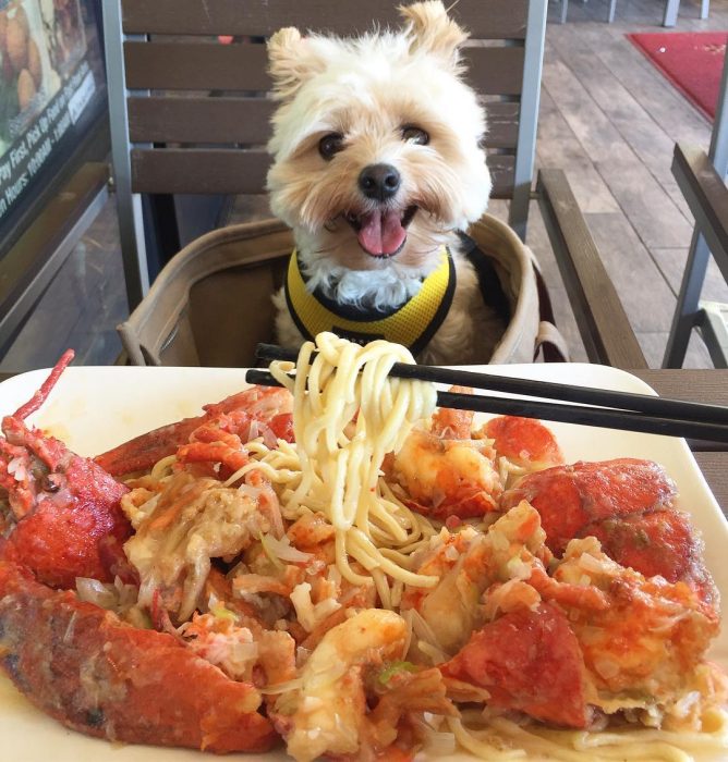 Popeye comiendo pasta 