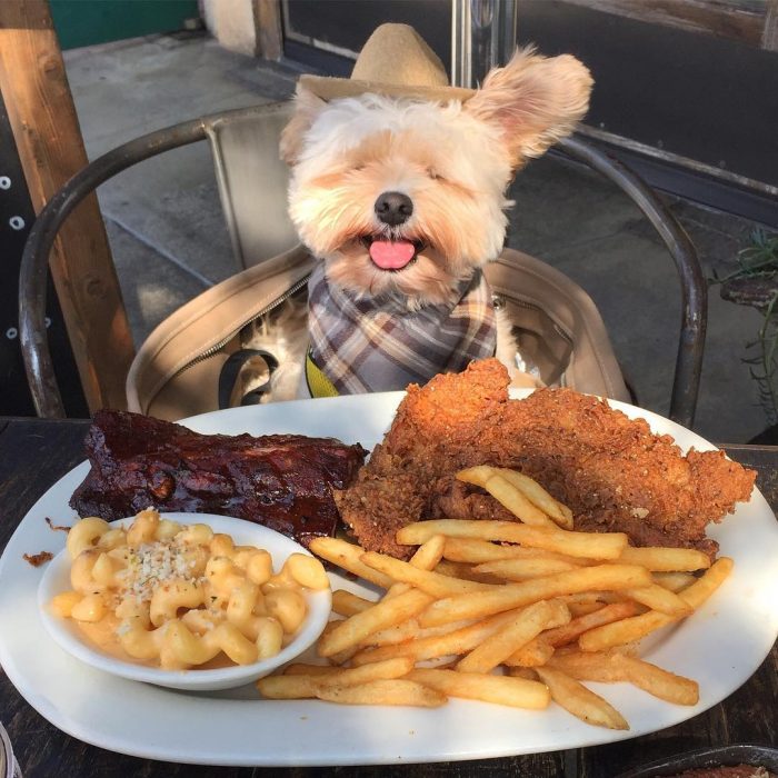 Popeye comiendo carne y papas 