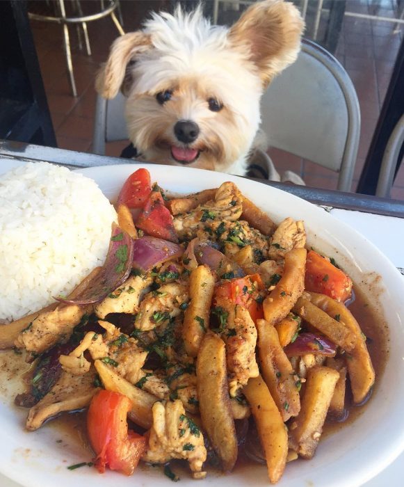 Popeye comiendo pasta 