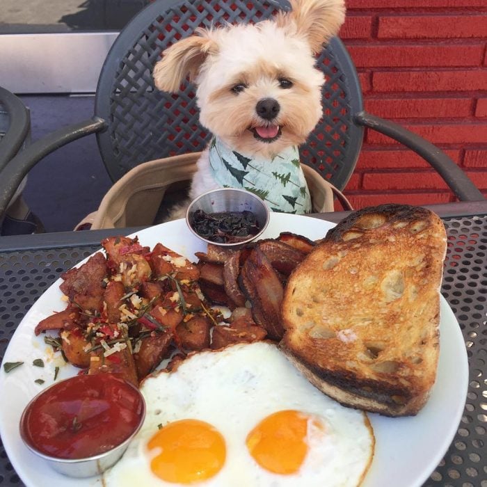 Popeye desayunando 