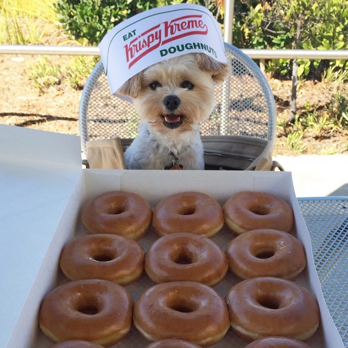 Popeye comiendo en Krispy Kreme 