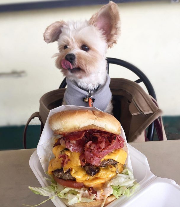 Popeye comiendo una super hamburguesa 