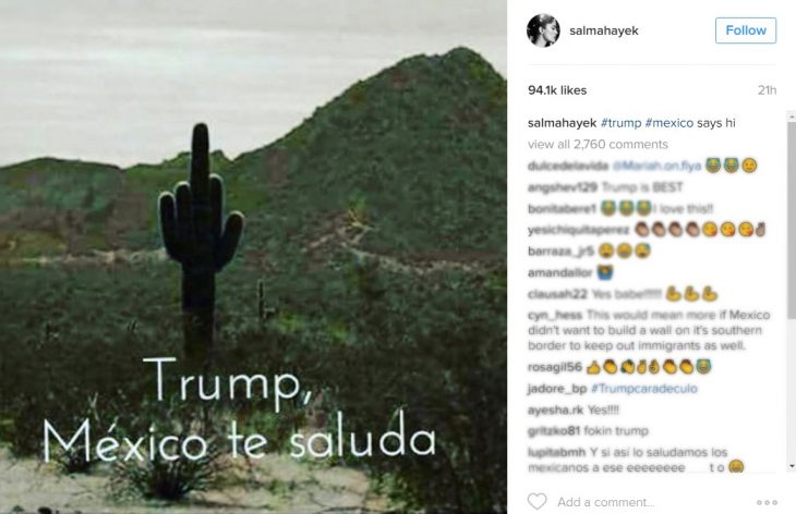 imagen de nopal y captura de pantalla de instagram 