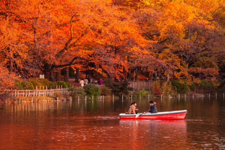 Pareja dando un paseo en bote. 