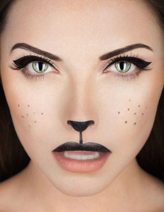 Maquillaje de gatito. 