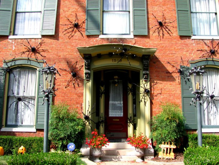 casa con ventanas y arañas 