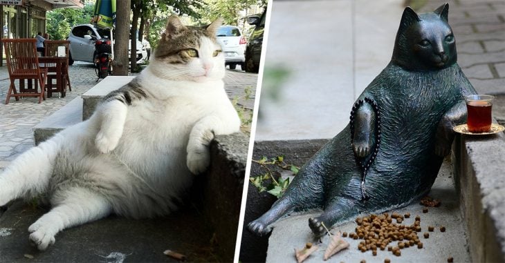 El gato más famoso y relajado del mundo ya tiene una estatua con la que será recordado por siempre