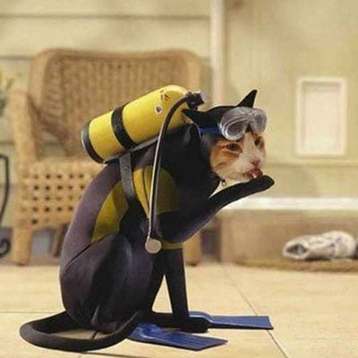 piensopet-es-piensopet-blog-animal-disfraces-gatos-submarinista