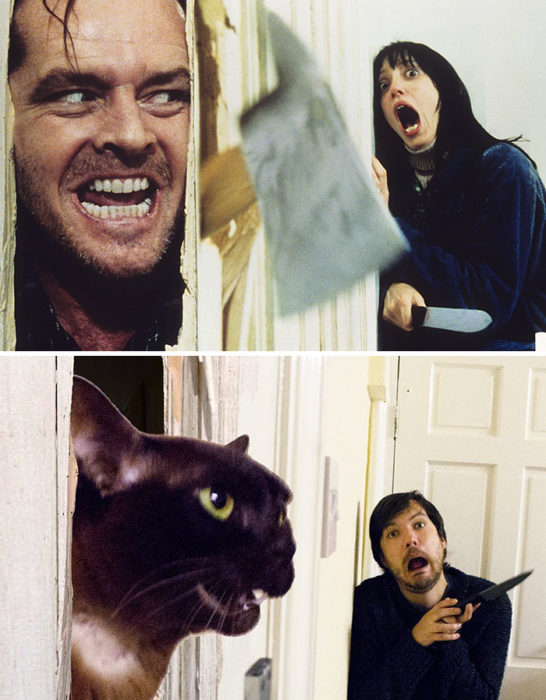 escena de The shining vs escena recreada por chico y su gato