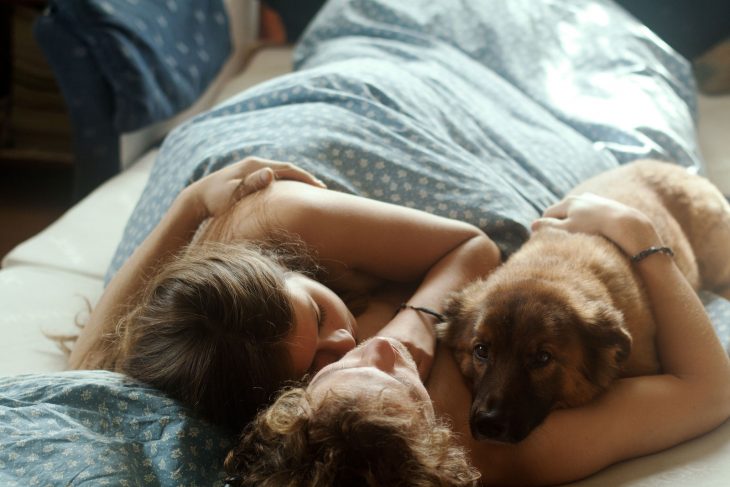 Pareja dormida con el perro en medio 