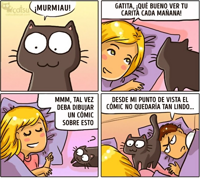 Cómic gato en casa nadie robará su amor 