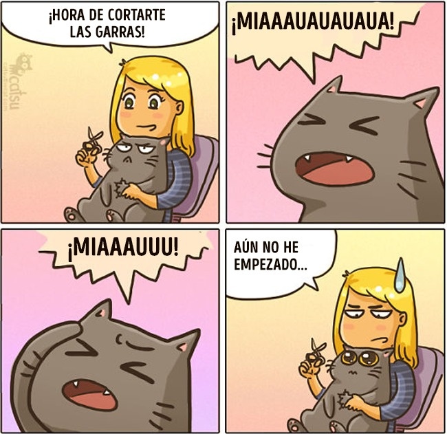 Cómic gato en casa corte de uñas y drama 