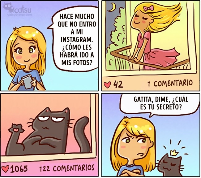 Cómic gato en casa es famoso en instagram 