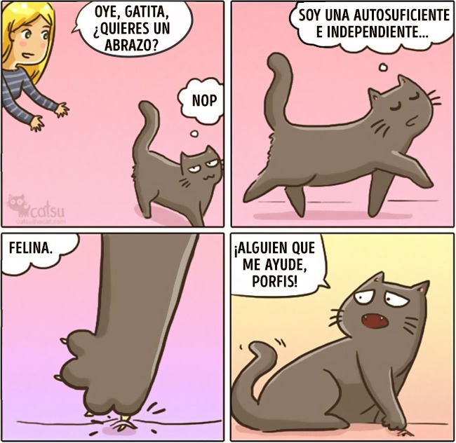 Cómic gato en casa cuando necesita tu ayuda 