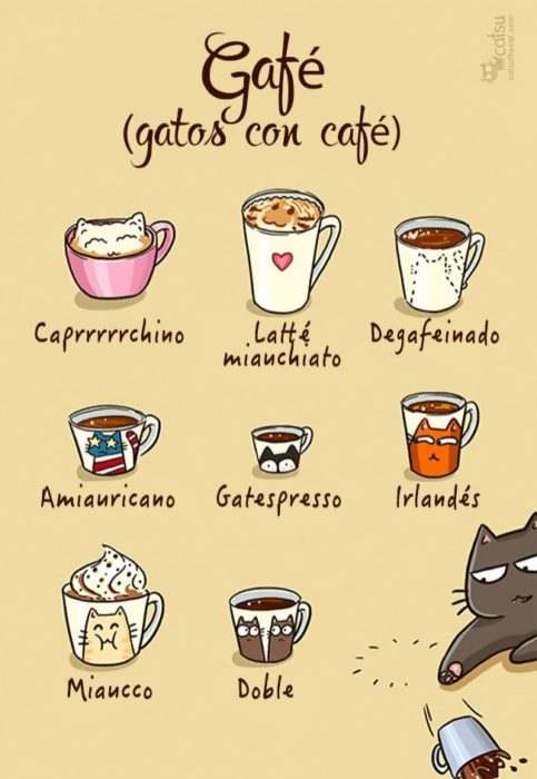 Cómic gato en casa, gatos con café 