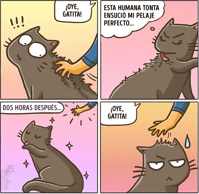 Cómic gato en casa aseo personal 