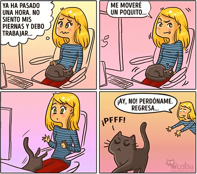 Cómic gato en casa nunca se enoja 