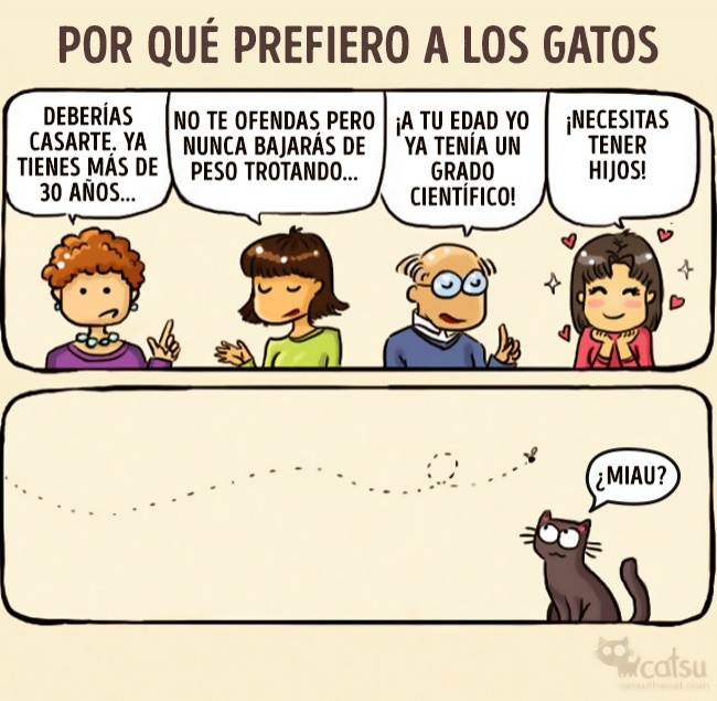 Cómic gato en casa prefiero los gatos 