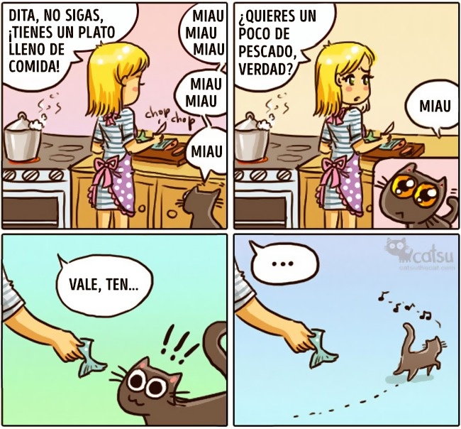 Cómic gato en casa nunca se conforma 