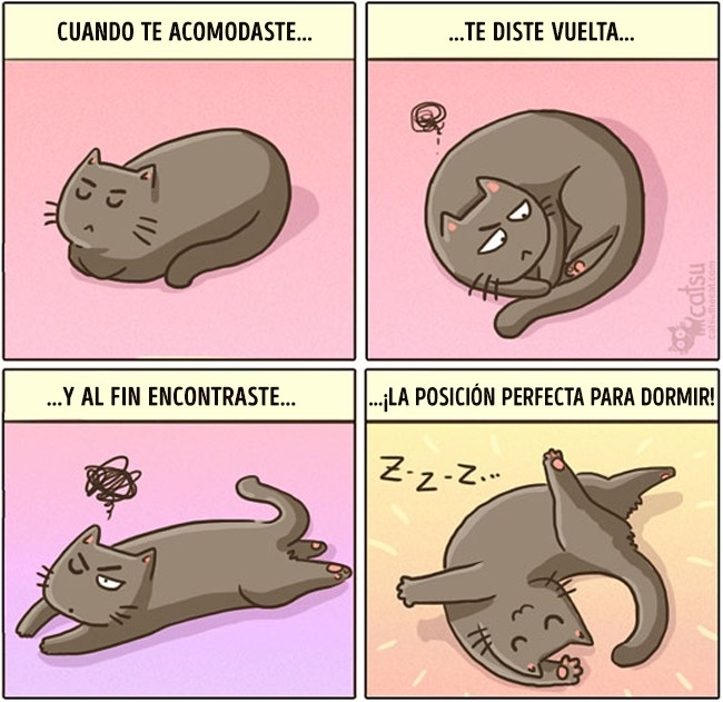 Cómic gato en casa posición perfecta para dormir 