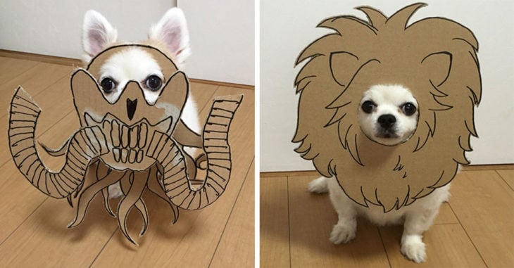 Esta chica japonesa crea mascaras para su perro y el resultado es genial